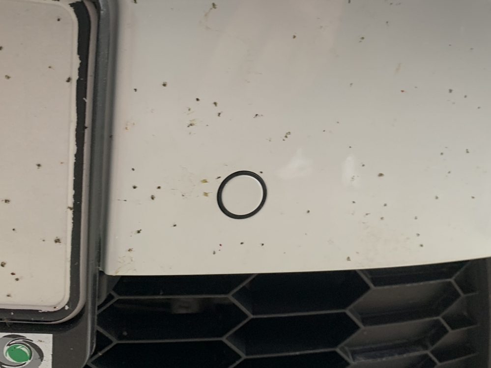 Montare 22 - Instalare Navigatie MIB 2.5 Display 9 Inch Senzori Parcare Fata Skoda Octavia 3 Scout 2017 Camera Spate Marsarier