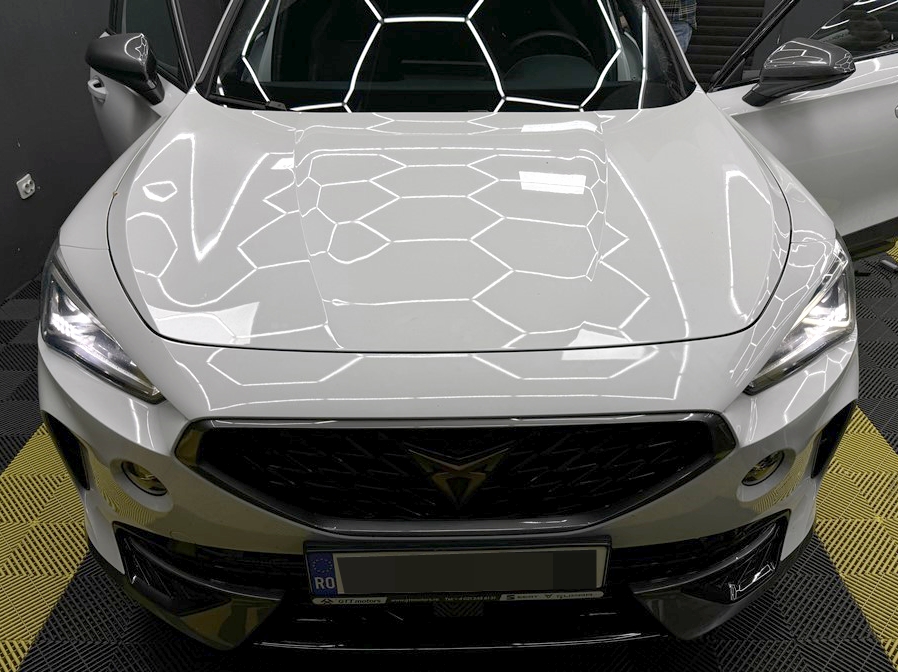 Montare 7 - Montare Instalare Camera Video Spate Marsarier CUPRA FORMENTOR Originala Highline