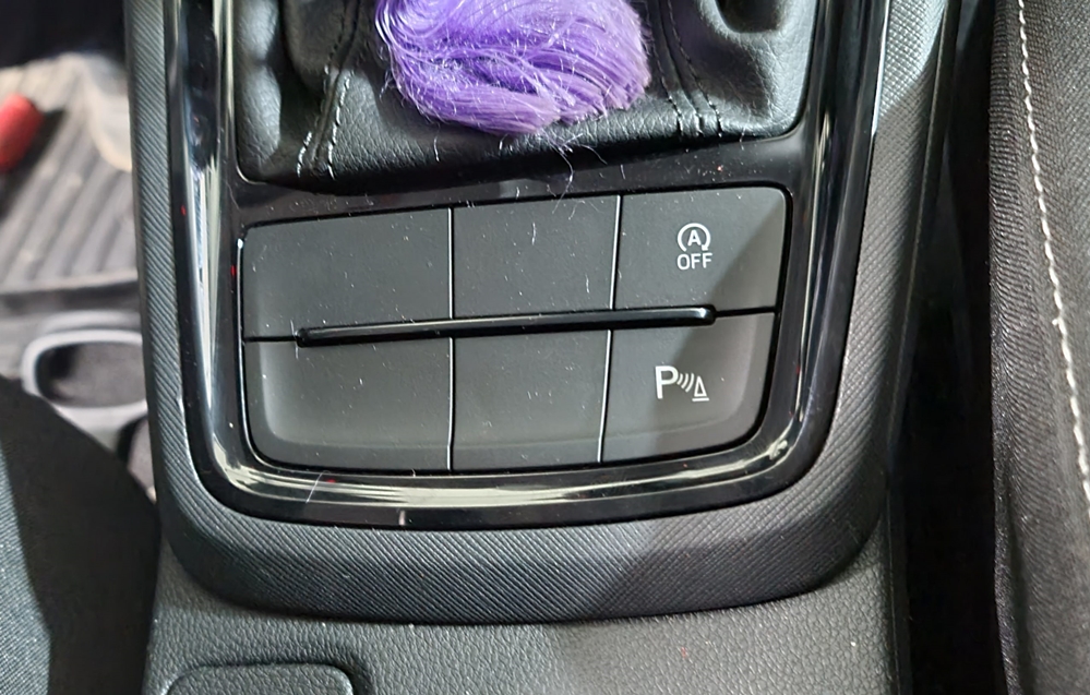 Montare 13 - Skoda Scala 2021 Montaj Senzori Parcare Fata Originali