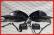 Poza 3 - Oglinzi Rabatabile VW Golf 7 R VII Electrice Incalzite Set Complet