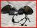 Poza 1 - Oglinzi Rabatabile VW Passat B8 Electrice Incalzite Set Complet