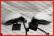 Poza 3 - Oglinzi Rabatabile VW Passat B8 Electrice Incalzite Set Complet