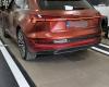 Instalare 6 - Audi Q4 E-Tron 2019 Inlocuire Oglinda Laterala Cu Camera Calibrare Sistem Camere Area View 360